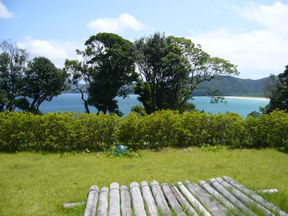 f0067354_710730.jpg