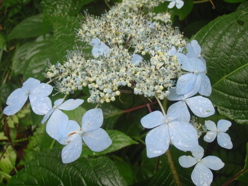 b0177355_213454100.jpg