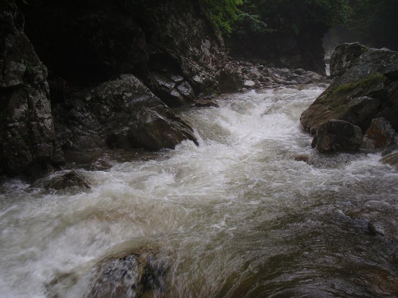 b0177355_2250425.jpg
