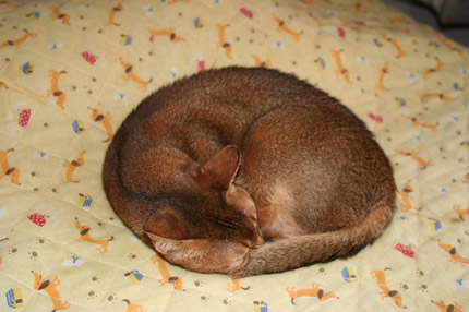 d0008256_2255110.jpg