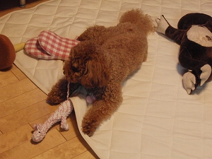 c0135363_21491650.jpg