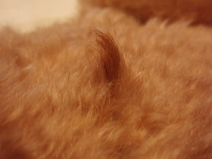 c0135363_226274.jpg