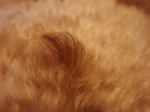 c0135363_226786.jpg