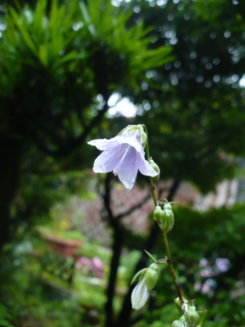 a0063364_0234135.jpg