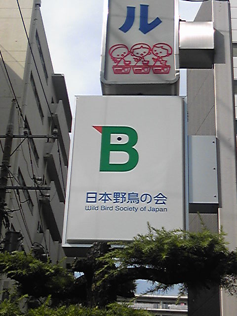 e0071165_1527996.jpg