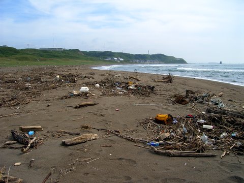 b0130166_1728125.jpg