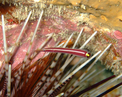 b0033573_10235970.jpg