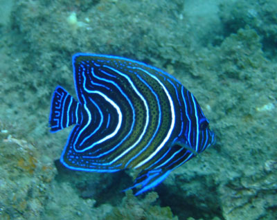 b0033573_10241956.jpg