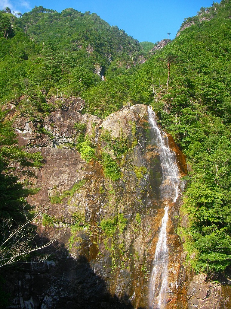 e0099576_1424543.jpg