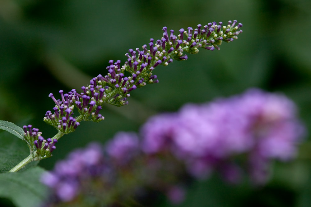 a0083081_17262873.jpg