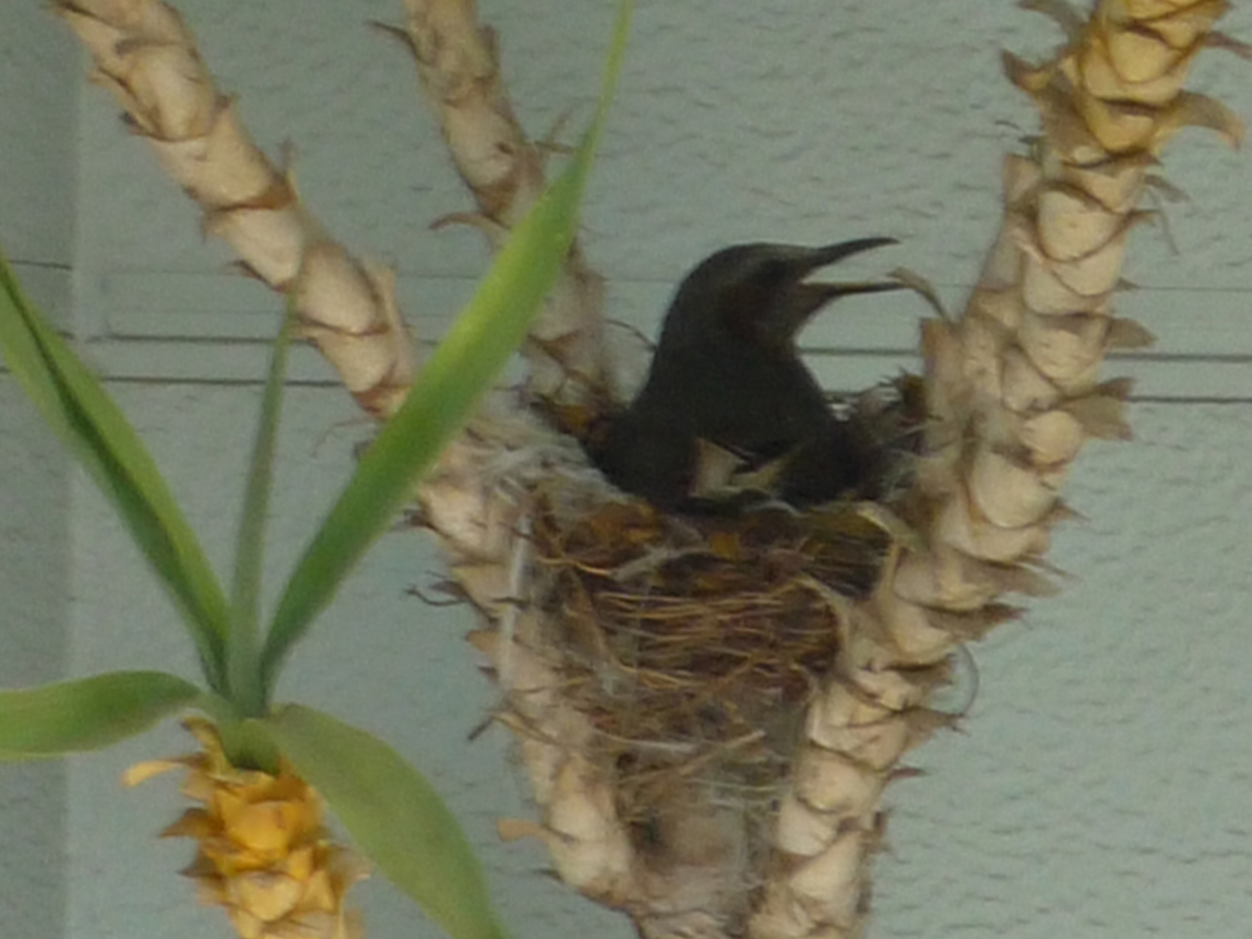 c0125283_1230090.jpg