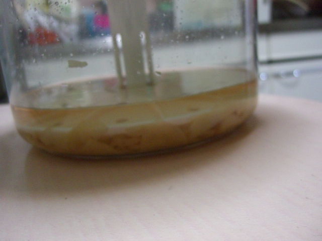 f0201488_8532390.jpg