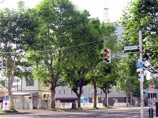 e0121589_02618.jpg