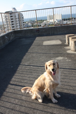 c0193396_21364958.jpg