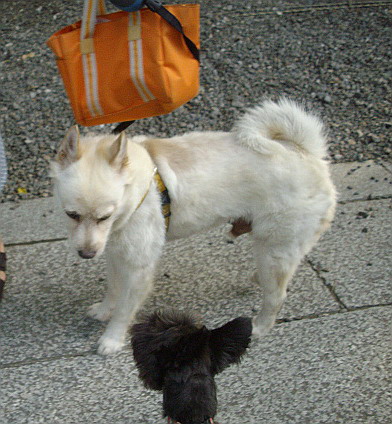 c0138198_165589.jpg