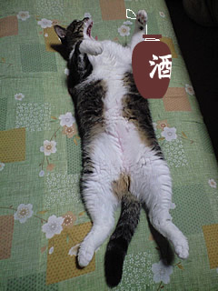 c0035001_1422232.jpg