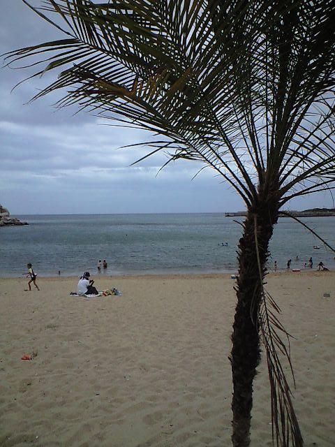 f0092906_21243089.jpg