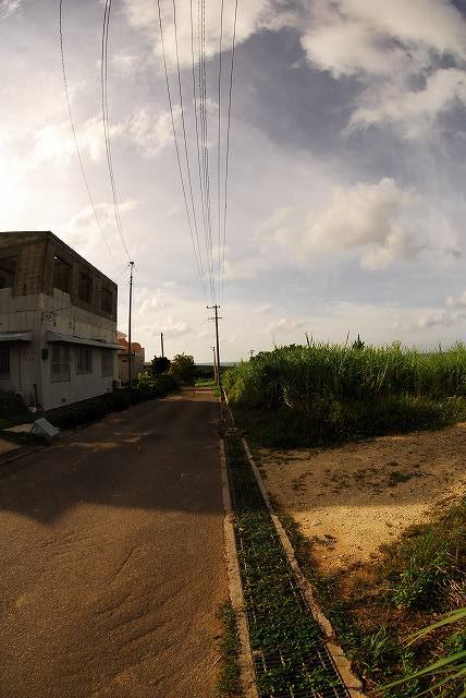d0089110_21232811.jpg
