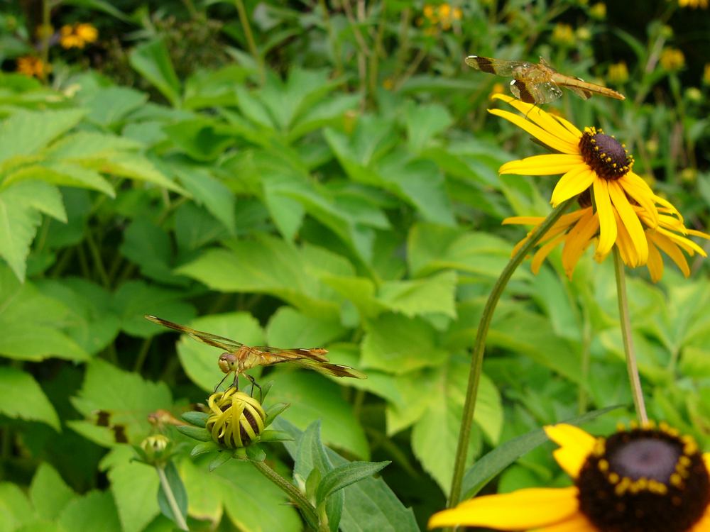 c0062511_2114680.jpg