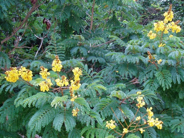 a0000014_22325269.jpg