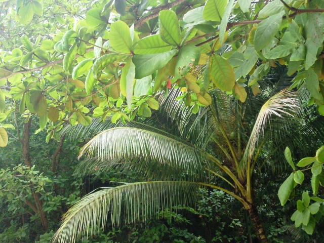 a0000014_2232575.jpg