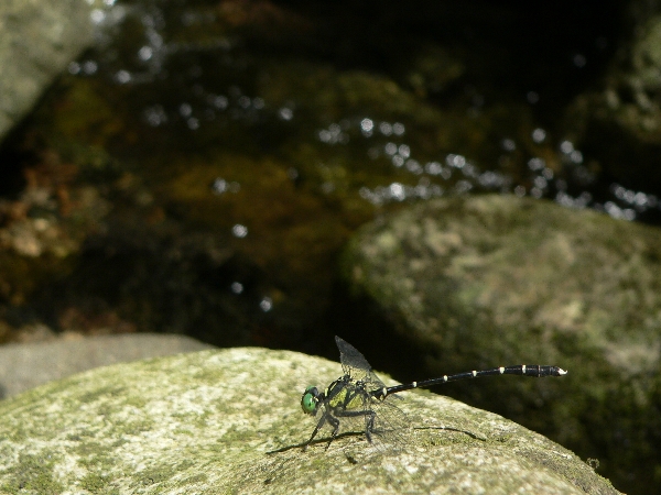 e0002314_17253069.jpg