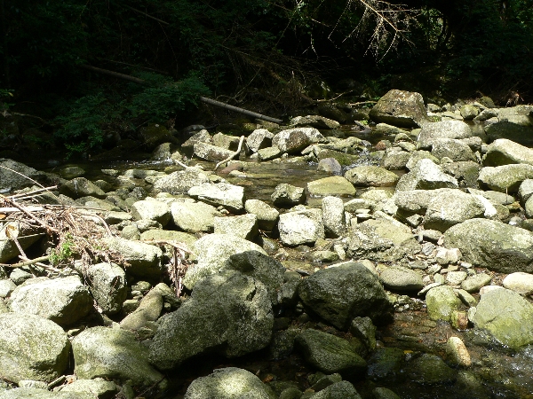 e0002314_17281628.jpg