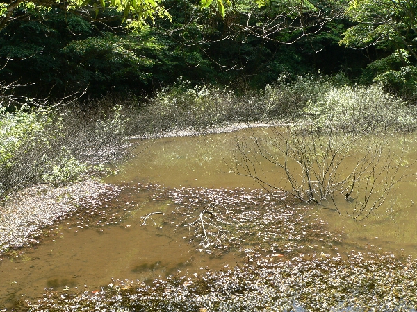 e0002314_1730471.jpg