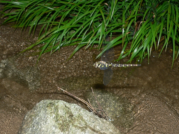 e0002314_174642100.jpg