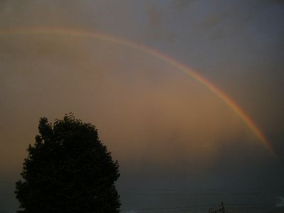 f0107724_20462452.jpg