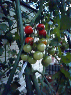b0094025_17502321.jpg