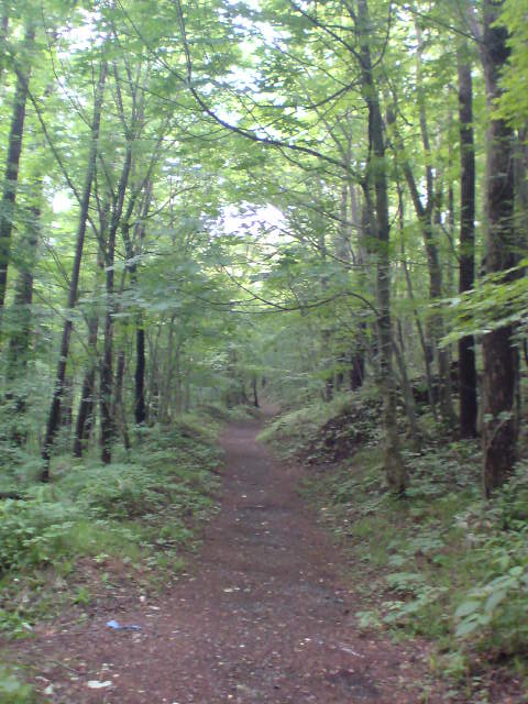 e0016828_1332441.jpg