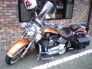 a0099129_16472088.jpg