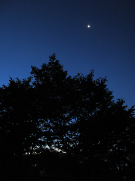 f0045630_920417.jpg