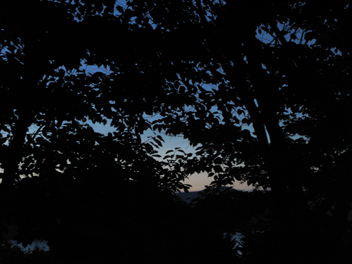 f0045630_9235937.jpg