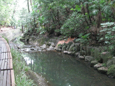 c0031839_9371432.jpg