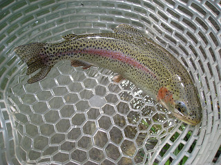 f0065341_0131978.jpg