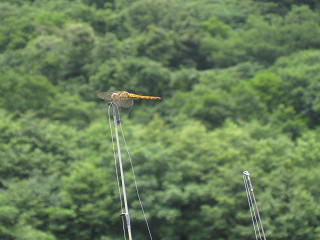 f0065341_014729.jpg