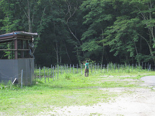 f0065341_015996.jpg