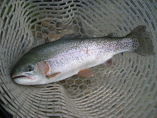 f0065341_0211689.jpg