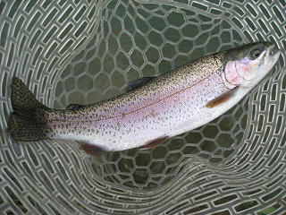 f0065341_033939.jpg