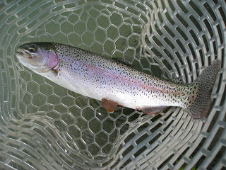 f0065341_052194.jpg