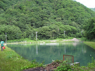 f0065341_06354.jpg