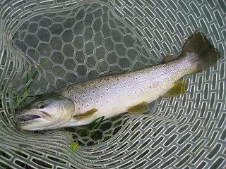f0065341_081494.jpg