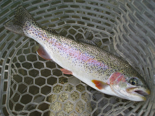 f0065341_09353.jpg