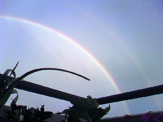 f0096147_2262640.jpg