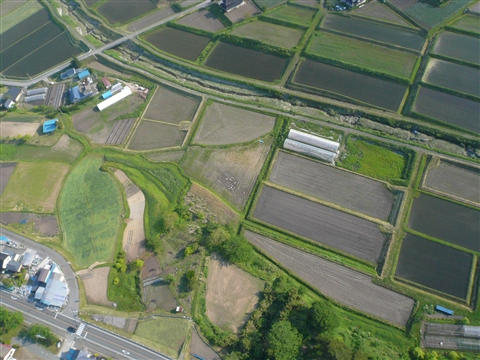 b0072651_19373789.jpg