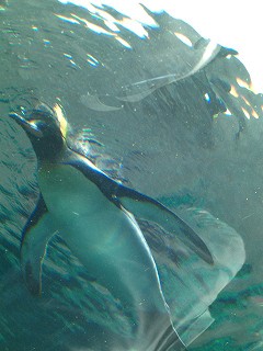 f0009451_9401229.jpg