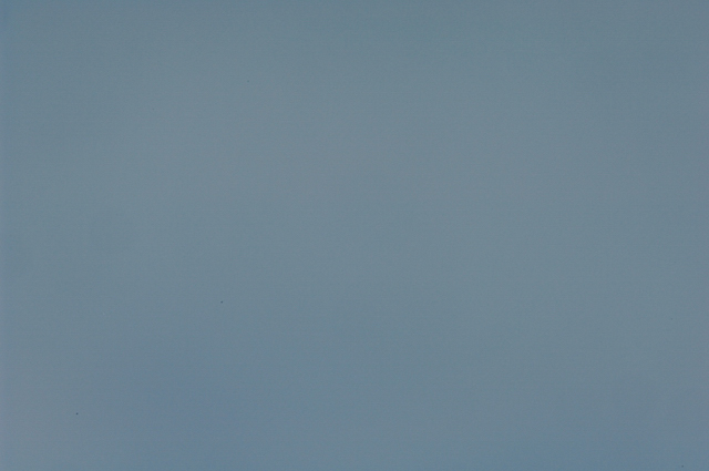 f0112952_2346242.jpg