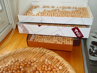 e0004756_20322910.jpg